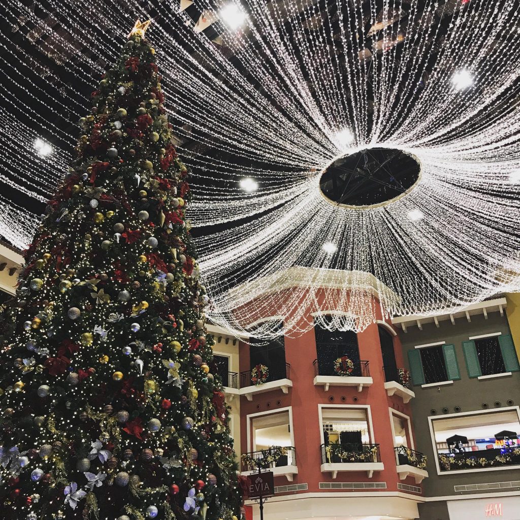 Christmas Tree Evia 1024x1024