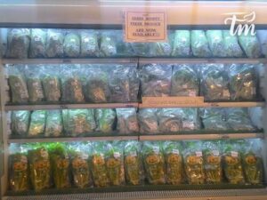 14224916 1743383022578666 533963659430340971 n 1024x768