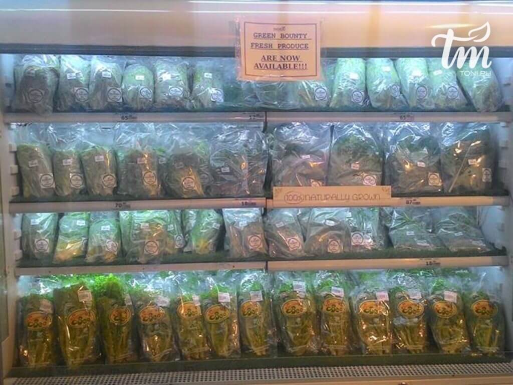 14224916 1743383022578666 533963659430340971 n 1024x768